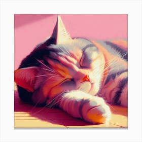 Cat Sleeping On The Floor Canvas Print