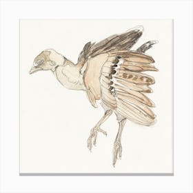 Dead Bird Partridge (1873–917) By Theo Van Hoytema Canvas Print