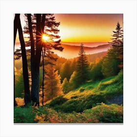 Sunrise In The Forest 17 Canvas Print