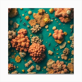 Coral Reef20 1 Canvas Print