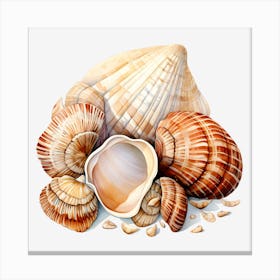 Sea Shells On Black Background Canvas Print