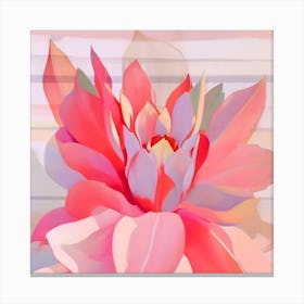Pink Lotus Canvas Print