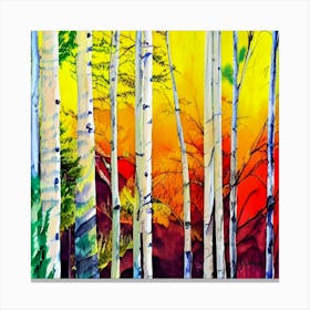 Aspen Forest Canvas Print