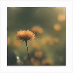 Dandelion Canvas Print