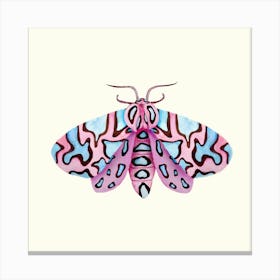 Moth (Watercolor) Canvas Print