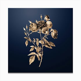 Gold Botanical Ternaux Rose Bloom on Midnight Navy n.2440 Canvas Print