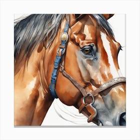 Portrait Of A Horse 1 Canvas Print