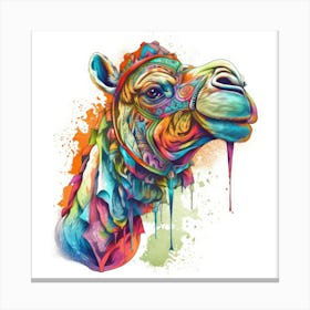 Camel 3 1 Canvas Print