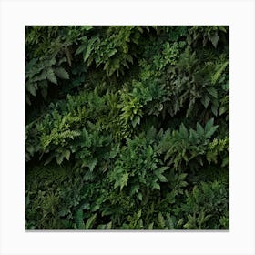 Fern Wall Canvas Print