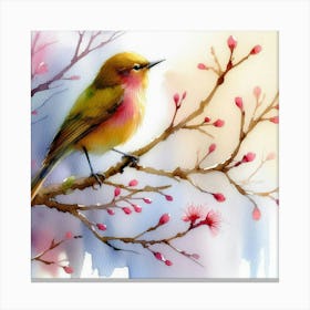 Watercolor Of A Bird Canvas Print