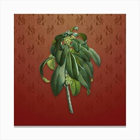 Vintage Spurge Laurel Weeds Botanical on Falu Red Pattern n.2433 Canvas Print
