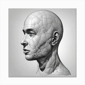 Head Of A Man 10 Canvas Print