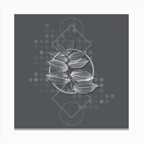 Vintage King Solomon's Seal Botanical with Line Motif and Dot Pattern in Ghost Gray n.0264 Canvas Print