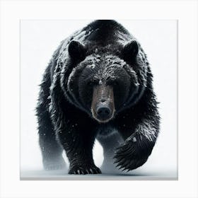 Black Bear Canvas Print