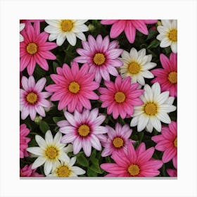 Daisy Canvas Print