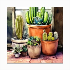 Cacti And Succulents 10 Canvas Print