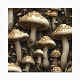 Mushroom Forest 7 Canvas Print