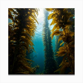 Kelp Forest 1 Canvas Print