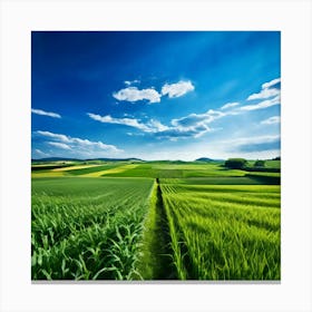 Green Farm Nature Field Landscape Countryside Agriculture Grass Gold Grow Japan Air Plan (2) Canvas Print