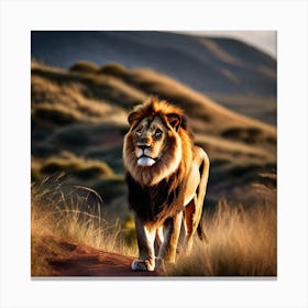Lion In The Wild 1 Canvas Print