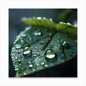 Water Droplets On A Leaf Canvas Print