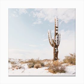 Snowy Winter Cactus Canvas Print