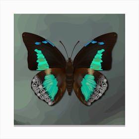 Mechanical Blue Butterfly The Doxocopa Cherubina On A Grey Background Canvas Print