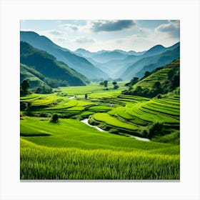 Rice Fields In Vietnam 3 Canvas Print