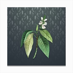 Vintage Malabar Nut Botanical on Slate Gray Pattern Canvas Print