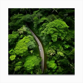 Aerial View Of A Forest Road Canvas Print