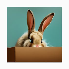 Bunny in a Box Canvas Print