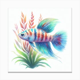 Aquarium fish 6 Canvas Print