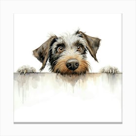 Schnauzer 27 Canvas Print