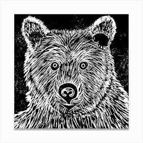 Bear Head Canvas Print