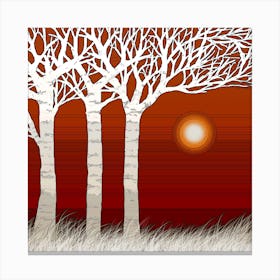 White trees at sunset Canvas Print