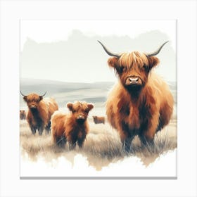 Highland Cows 1 Canvas Print