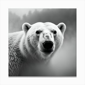 Polar Bear Portrait, Monochrome no. 1 Canvas Print