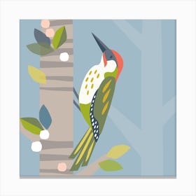 Woodpecker Canvas Print