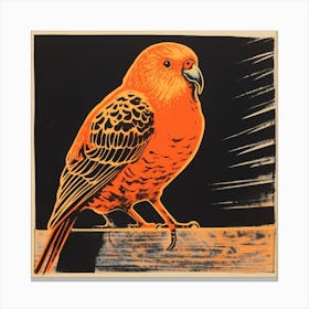 Retro Bird Lithograph Budgerigar 4 Canvas Print