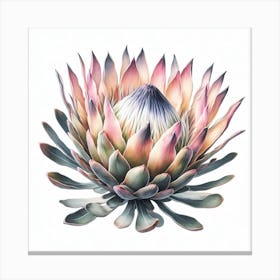 Protea 5 Canvas Print