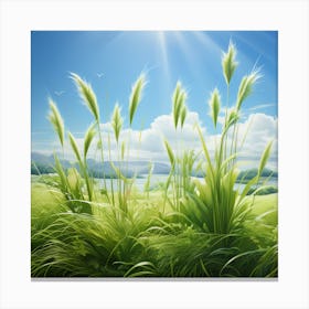 Grassy Field Canvas Print