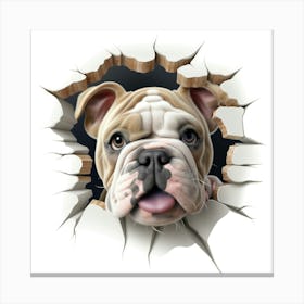 Bulldog 1 Canvas Print