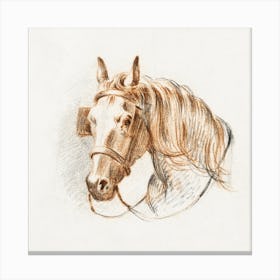 Head Of A Horse With Blinkers 1, Jean Bernard Canvas Print