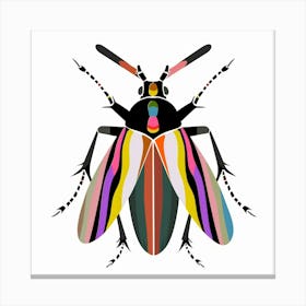 Beetle 67 Canvas Print