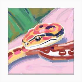 Corn Snake 06 Canvas Print