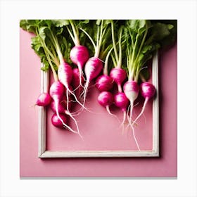 Radishes In A Frame 3 Canvas Print