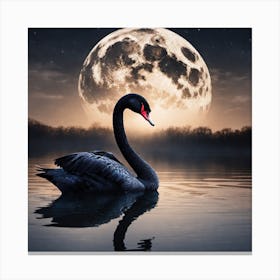 Black Swan Canvas Print