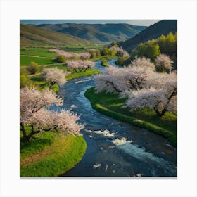 Cherry Blossoms In The Valley Canvas Print