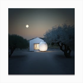 House In The Moonlight Canvas Print