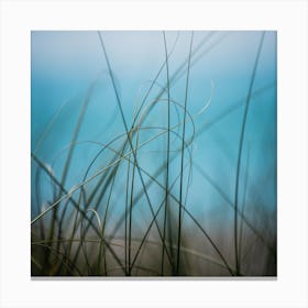 Warm Wind Cool Water 2 Canvas Print